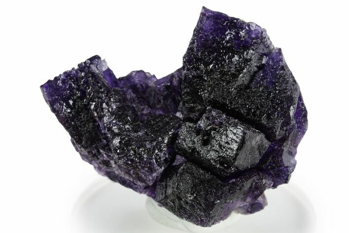 Dark Purple Fluorite Crystal Cluster - Cave-in-Rock, Illinois #347817